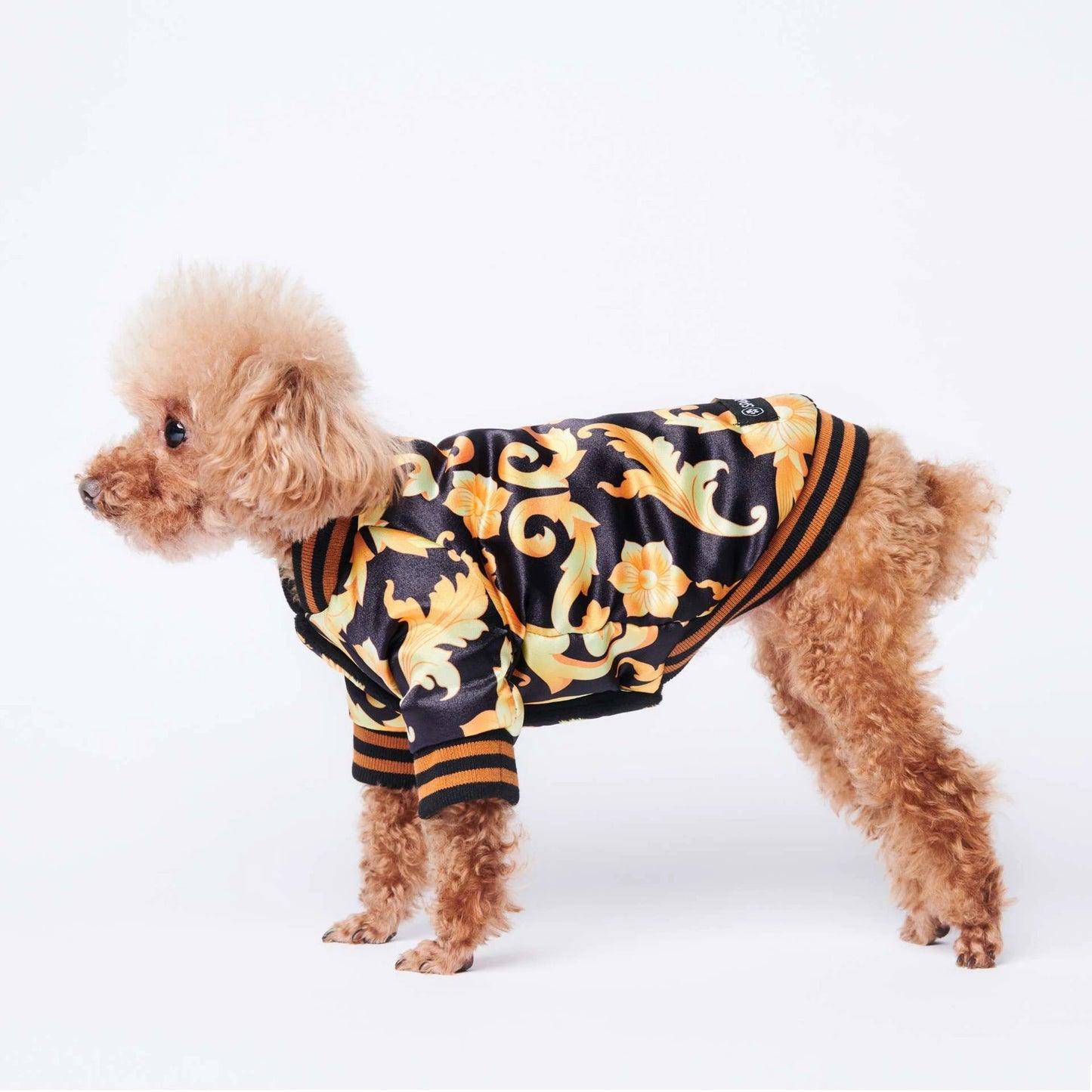 Fil-G dog coat