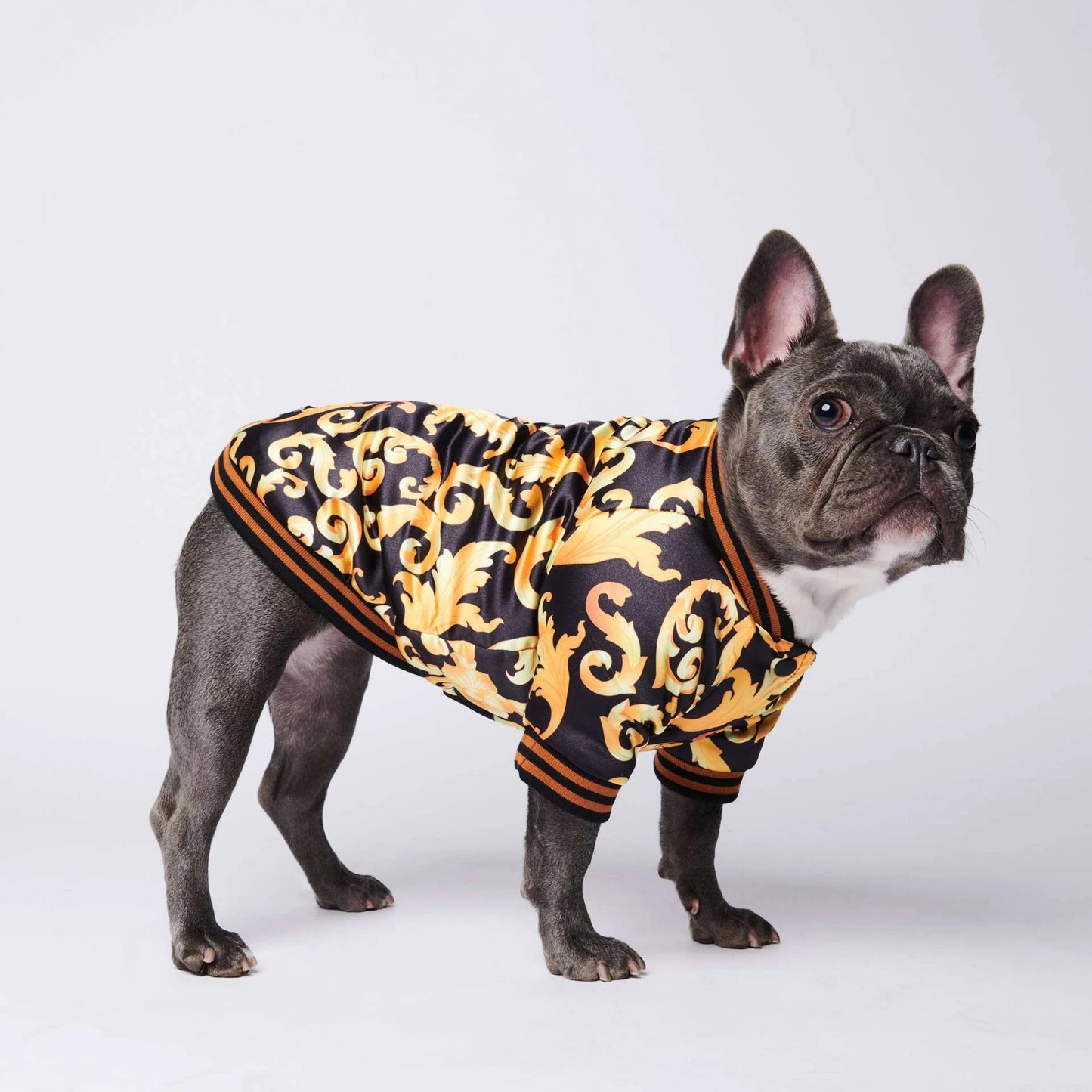 Fil-G dog coat